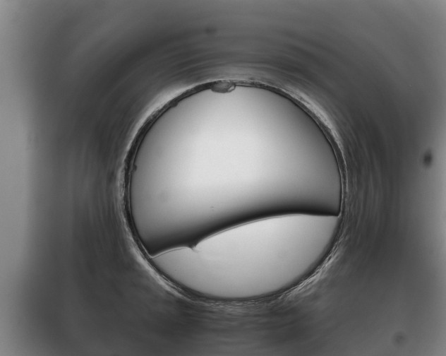 X0000100421045200806060943