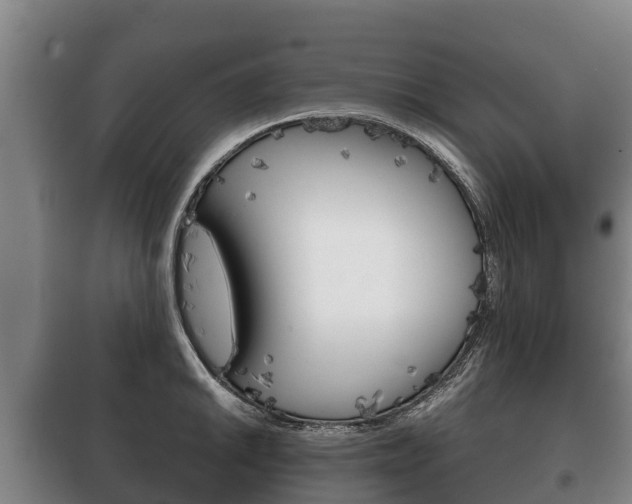 X0000100421046200806060943