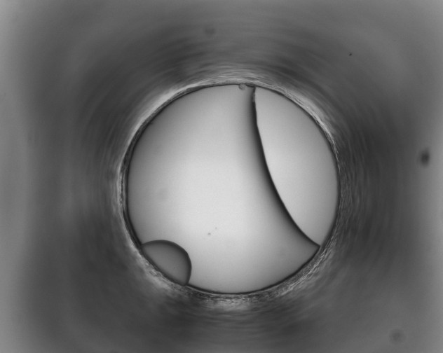 X0000100421047200806060943
