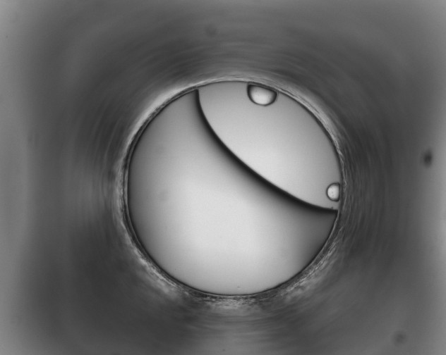 X0000100421048200806060943