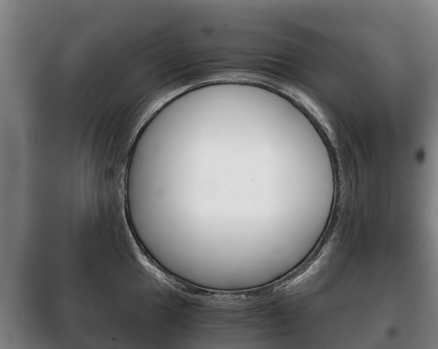 X0000100421049200806060944