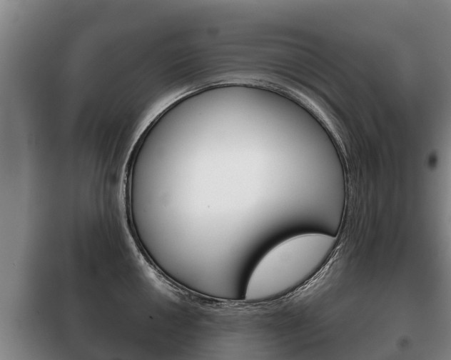 X0000100421050200806060944