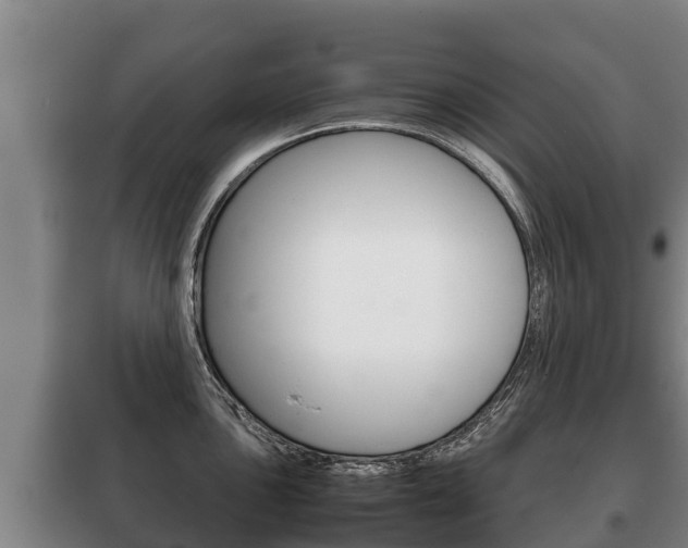 X0000100421051200806060944