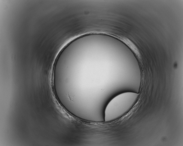 X0000100421052200806060944