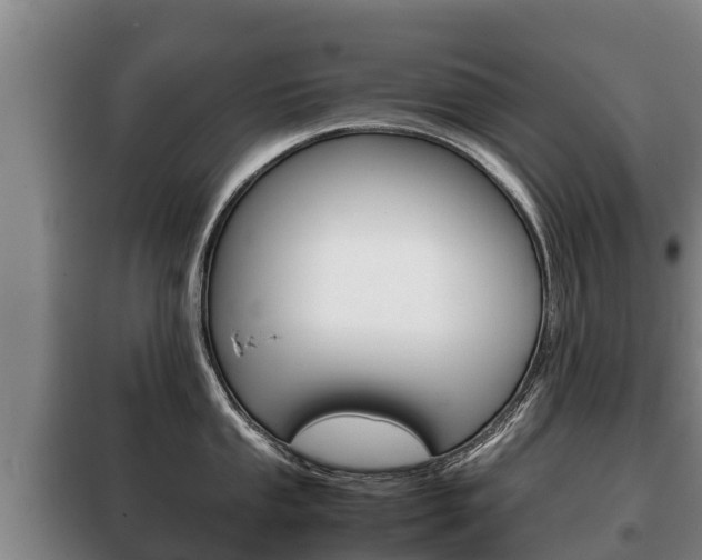 X0000100421053200806060944