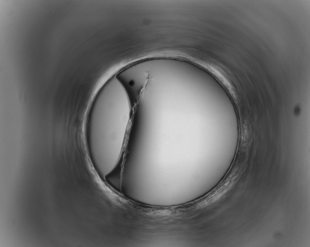 X0000100421054200806060944
