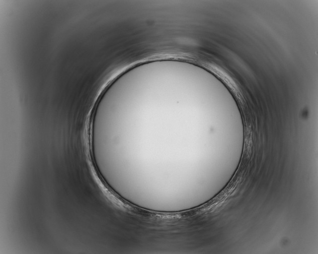 X0000100421055200806060944