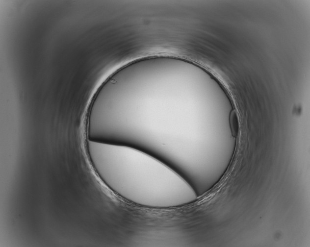 X0000100421056200806060944
