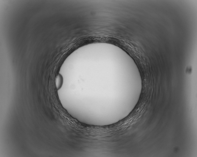 X0000100421057200806060943