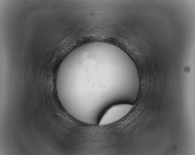 X0000100421058200806060943