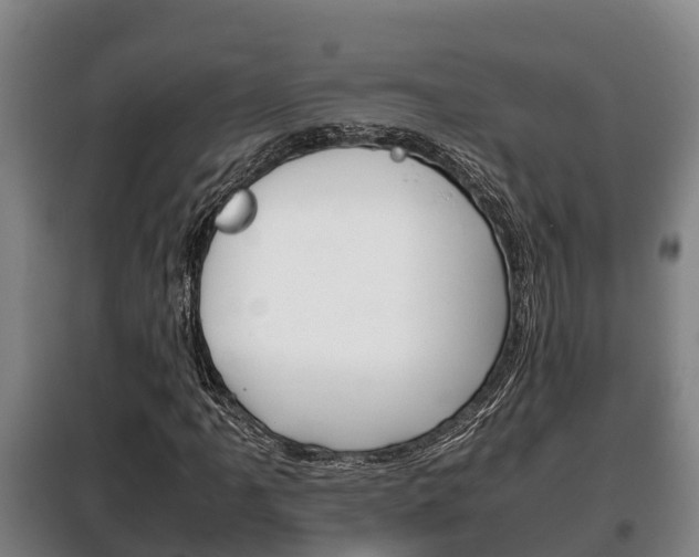 X0000100421061200806060943