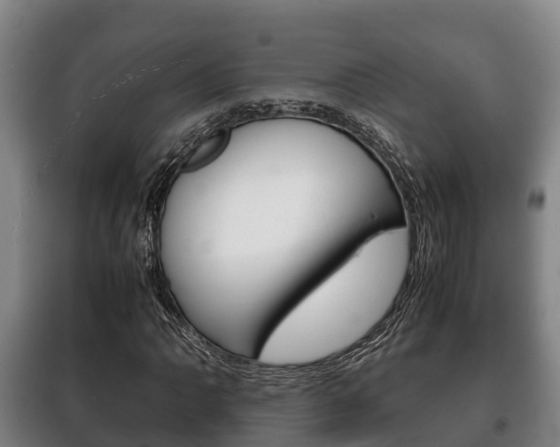 X0000100421062200806060943