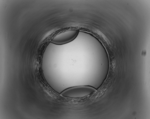 X0000100421064200806060943