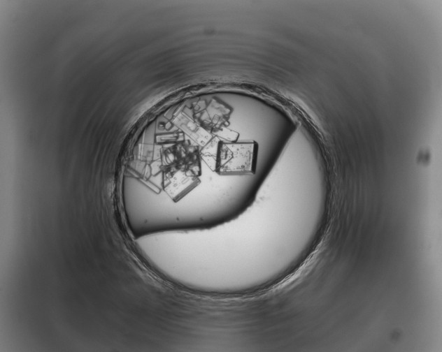 X0000100421065200806060943