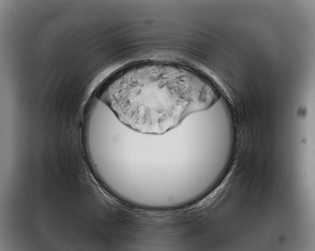 X0000100421066200806060943
