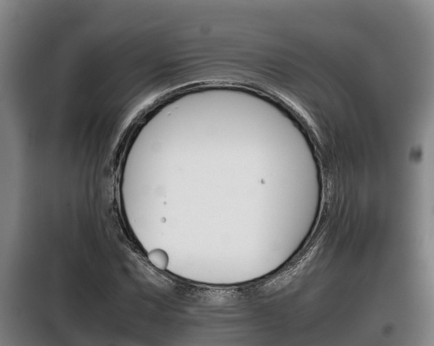 X0000100421067200806060943