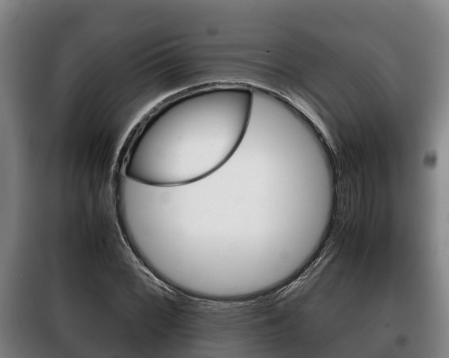 X0000100421068200806060943