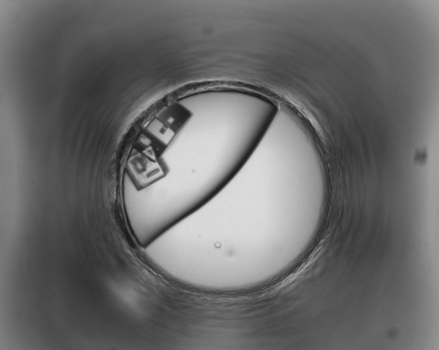 X0000100421069200806060943