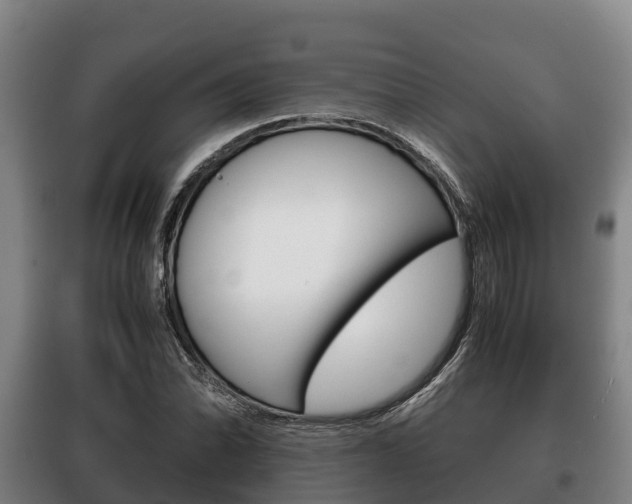 X0000100421070200806060943