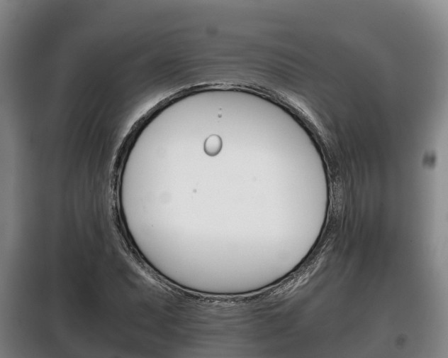 X0000100421071200806060943