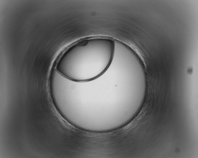 X0000100421072200806060943
