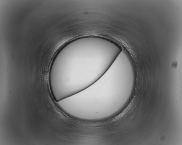X0000100421073200806060943