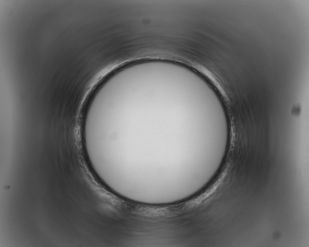 X0000100421074200806060943
