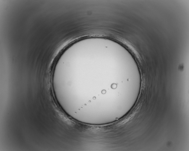 X0000100421075200806060943