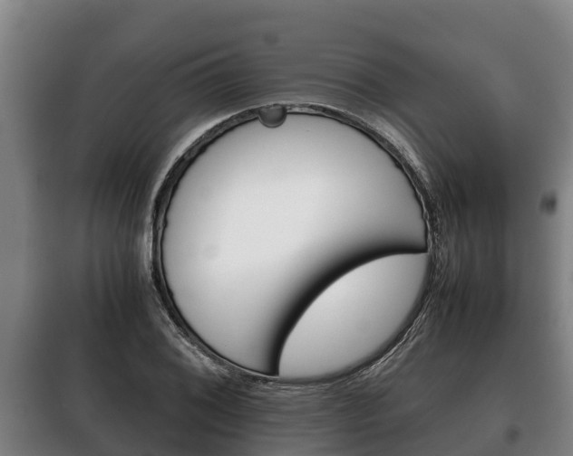 X0000100421076200806060943