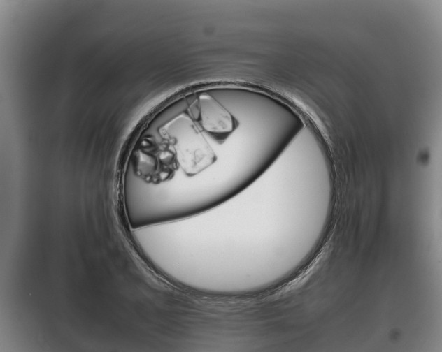 X0000100421077200806060943