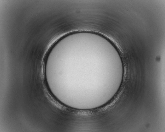 X0000100421078200806060943