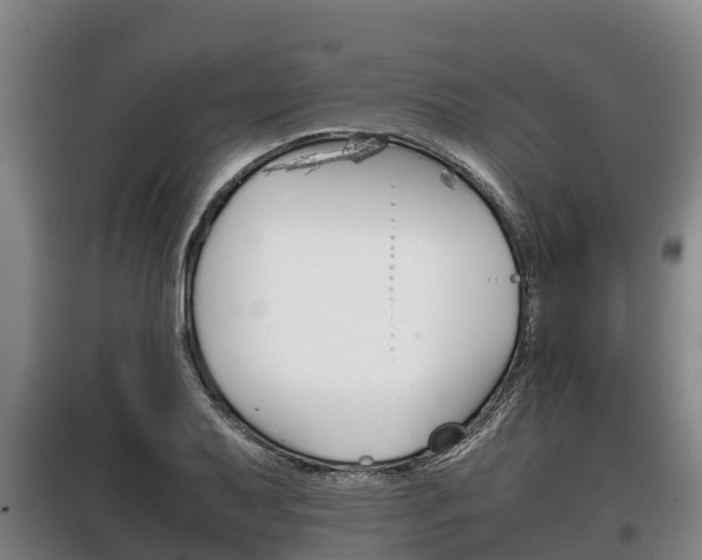 X0000100421079200806060943