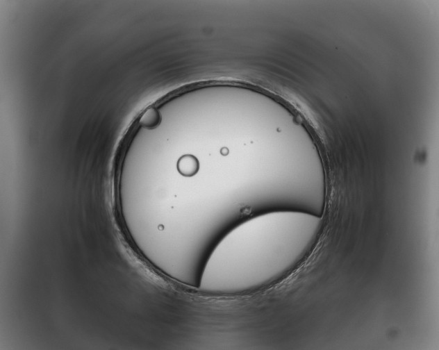 X0000100421080200806060943
