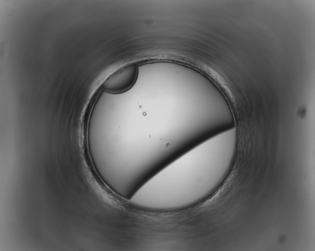 X0000100421082200806060943