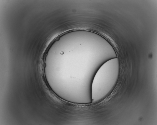 X0000100421083200806060943