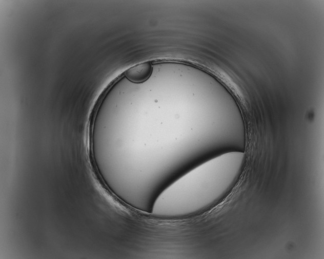 X0000100421084200806060943
