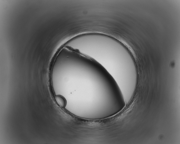 X0000100421085200806060943
