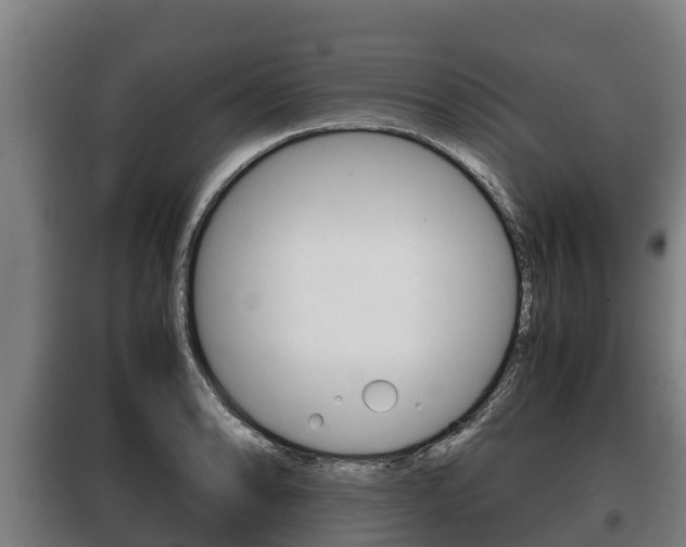 X0000100421086200806060943