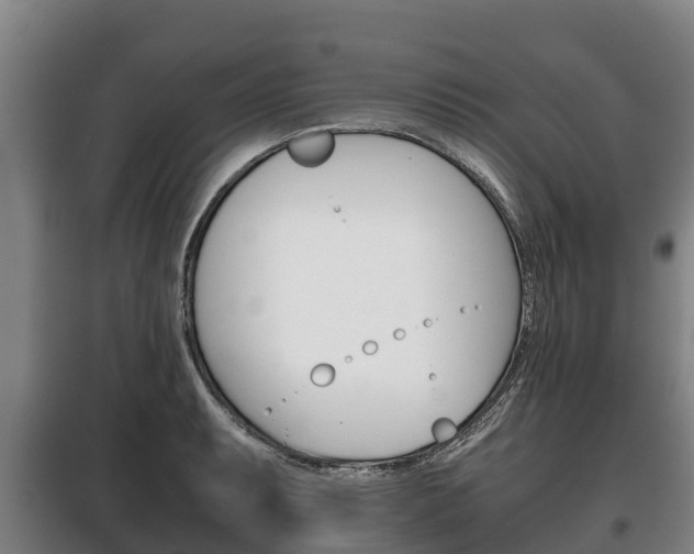 X0000100421087200806060943