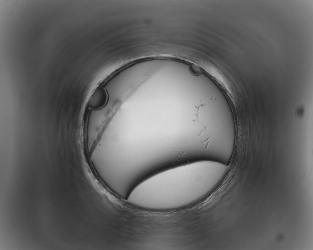 X0000100421088200806060943