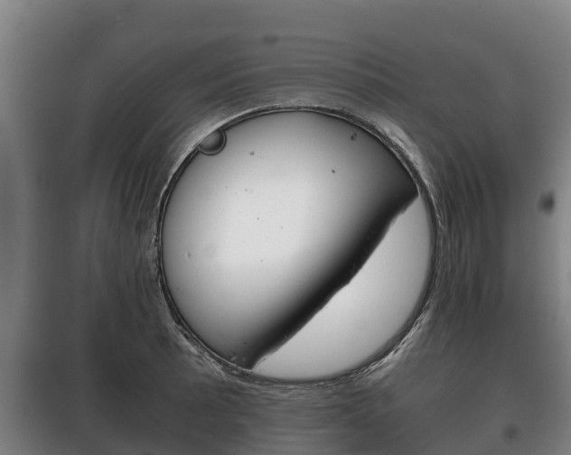 X0000100421089200806060943