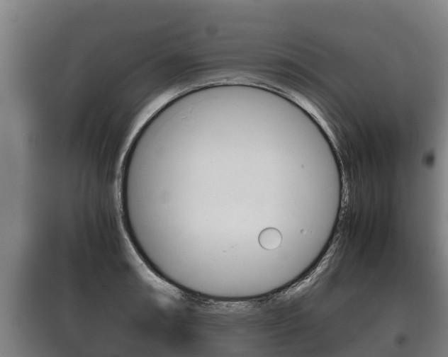 X0000100421090200806060942