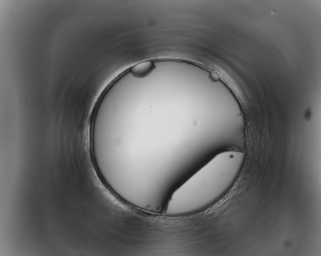 X0000100421092200806060942