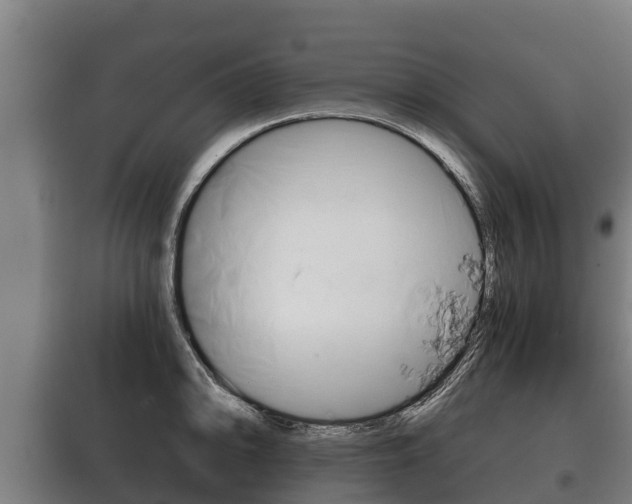 X0000100421094200806060942
