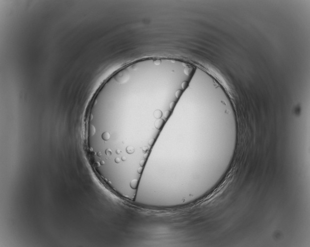 X0000100421095200806060942