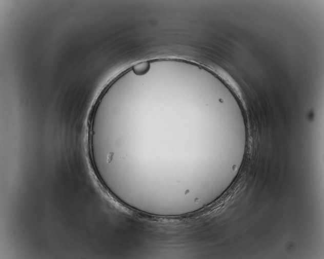 X0000100421096200806060942