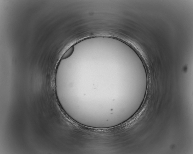 X0000100421097200806060942