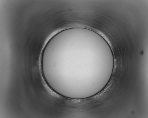 X0000100421098200806060942