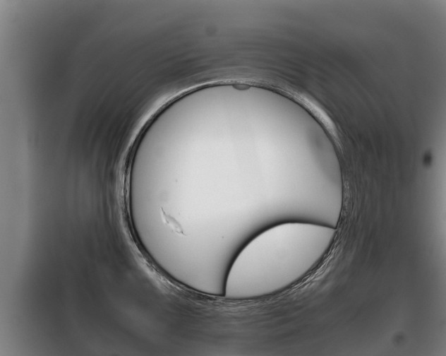 X0000100421099200806060942