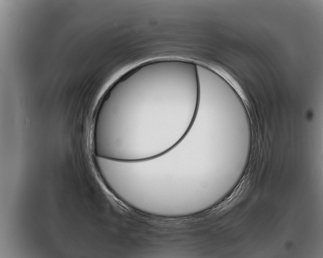 X0000100421101200806060942